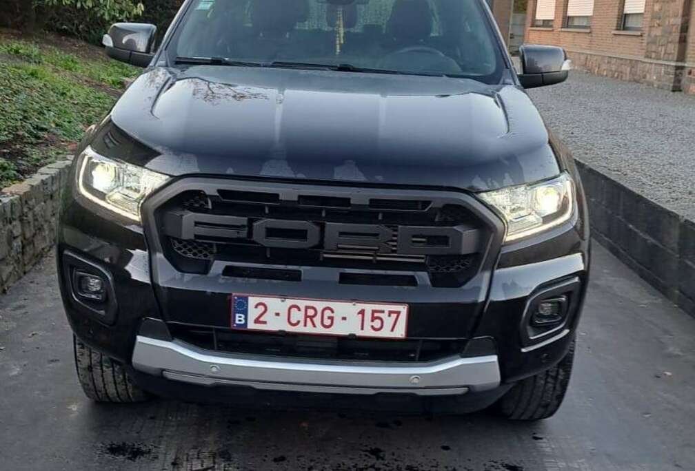 Ford 2,0 l EcoBlue Autm. Stormtrak