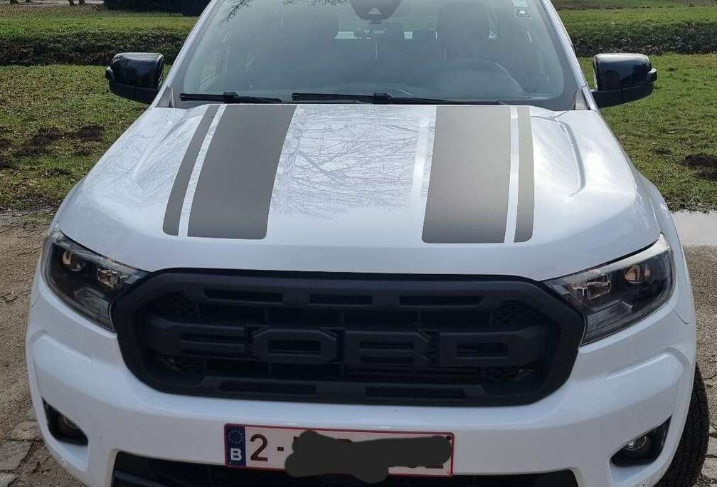 Ford 2.0 BiT EcoBlue Wildtrak (EU6.2)