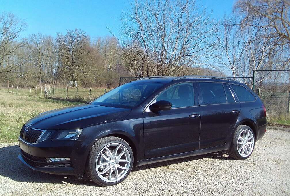 Skoda Break Benzine 18\