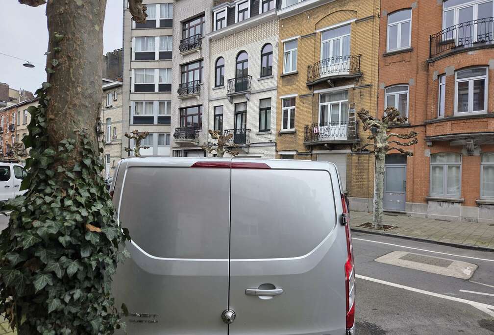 Ford 2.0 TDCi L2H1 Limited Multi-use