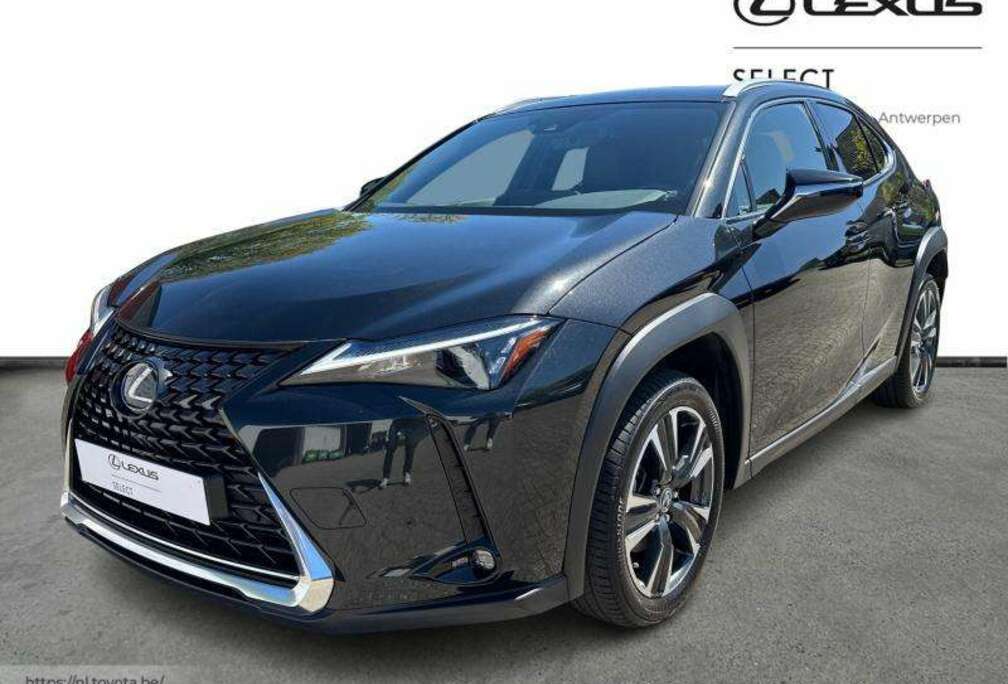 Lexus Executive Line + Pano