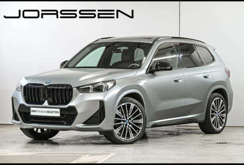 BMW xDrive25e