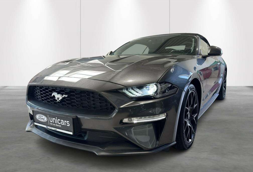Ford 2.3i Aut. EcoBoost CONVERTIBLE