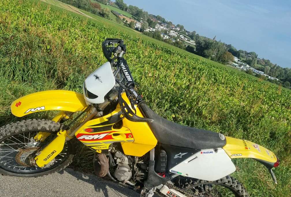 Suzuki enduro