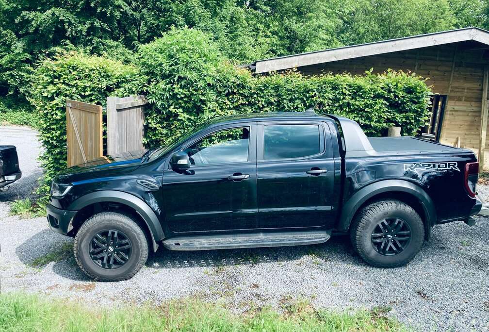 Ford 2.0 BiT EcoBlue Raptor (EU6.2)