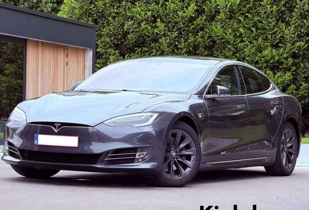 Tesla Long Range - Raven - Autopilot
