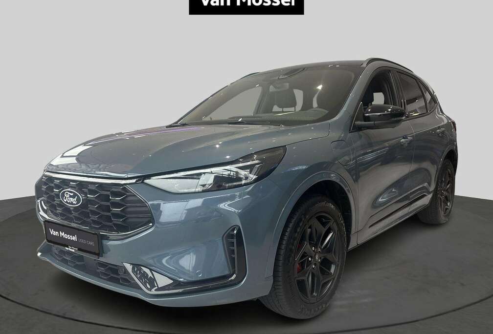 Ford 2.5i PHEV Bluecruise Edition | Winterpack | 360°
