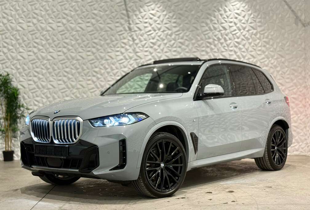 BMW 3.0d xDrive M-Pack / H&K / 360 / Carbon