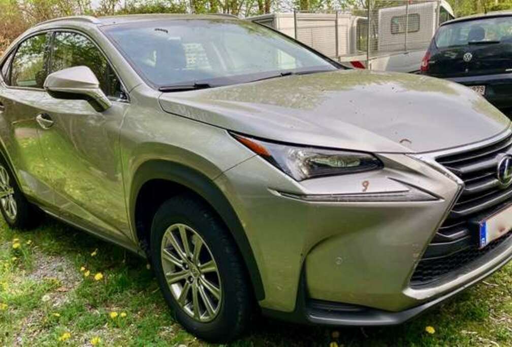 Lexus Business Line AWD