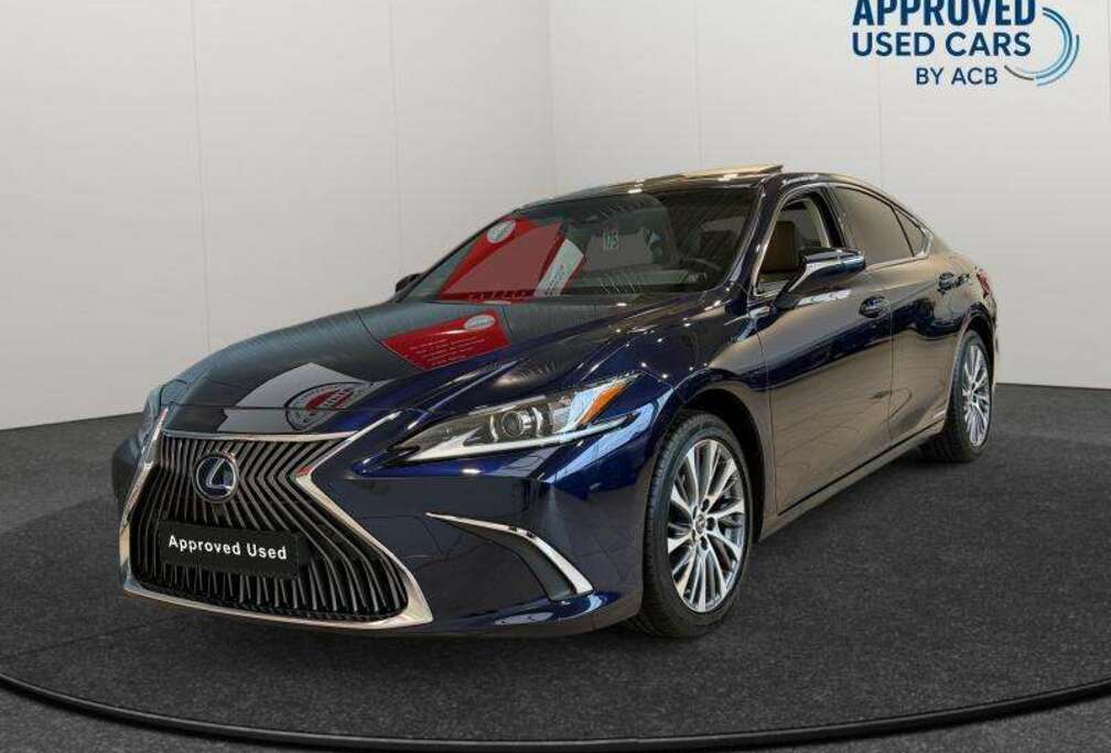 Lexus 2.5 300h 4d 131kW