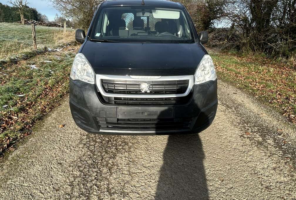 Peugeot 1.6 BlueHDi L2H1 Premium Pack 121 S/S