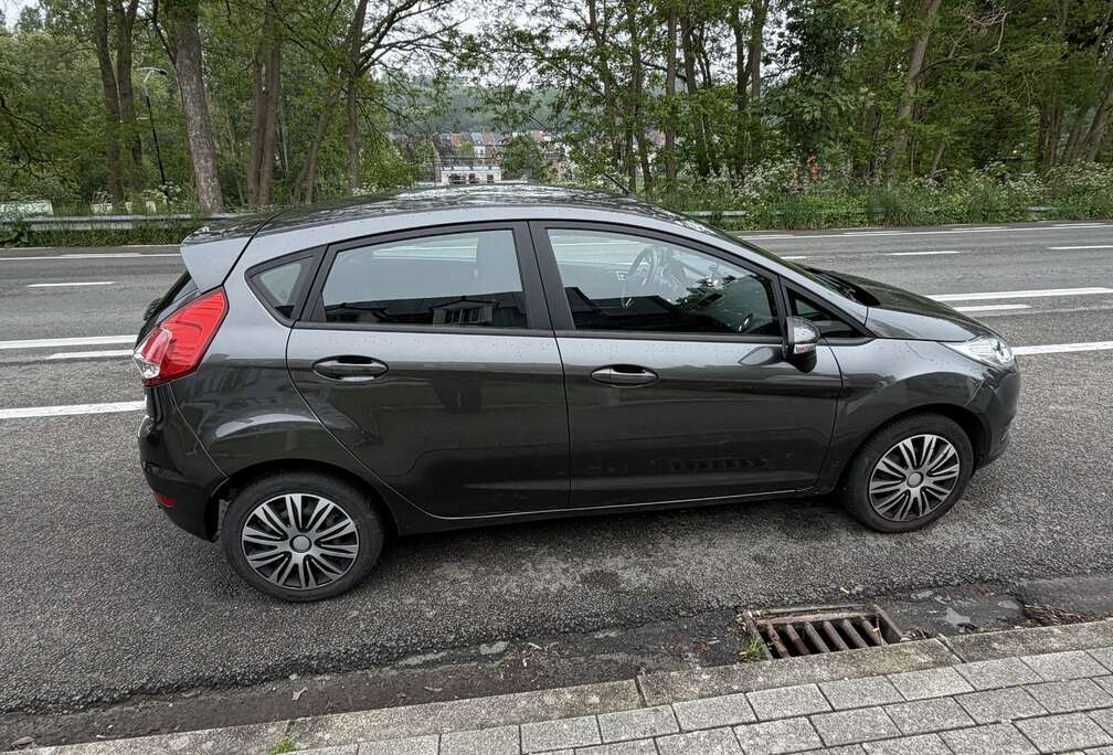 Ford 1.0