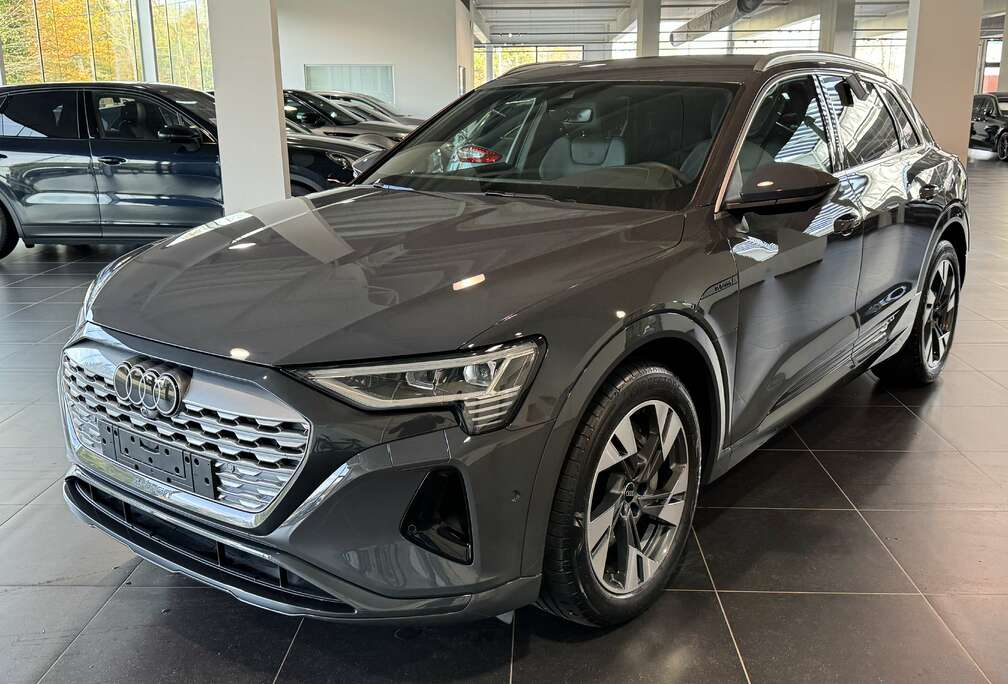 Audi 50 Quattro S-Line 360 Camera, Trekhaak, Memory Sea