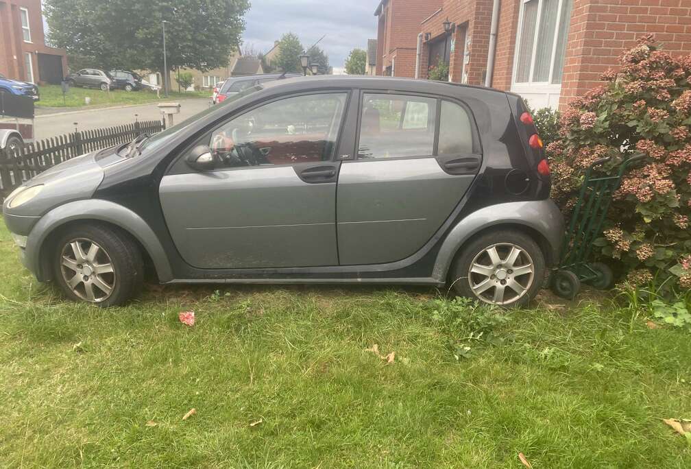 Smart 1.1i Pure