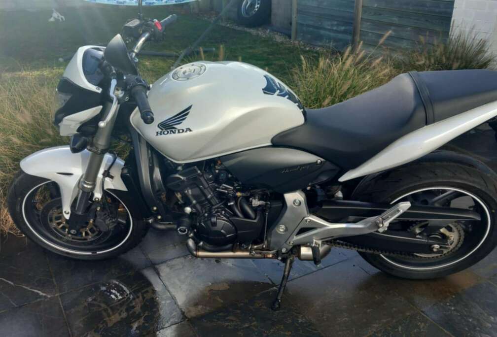 Honda Hornet