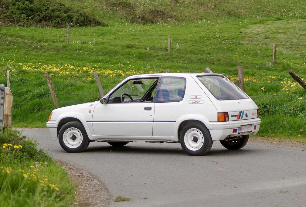 Peugeot RALLYE  RAW DRIVING EXPERIENCE  800KG  WEBER CARBS