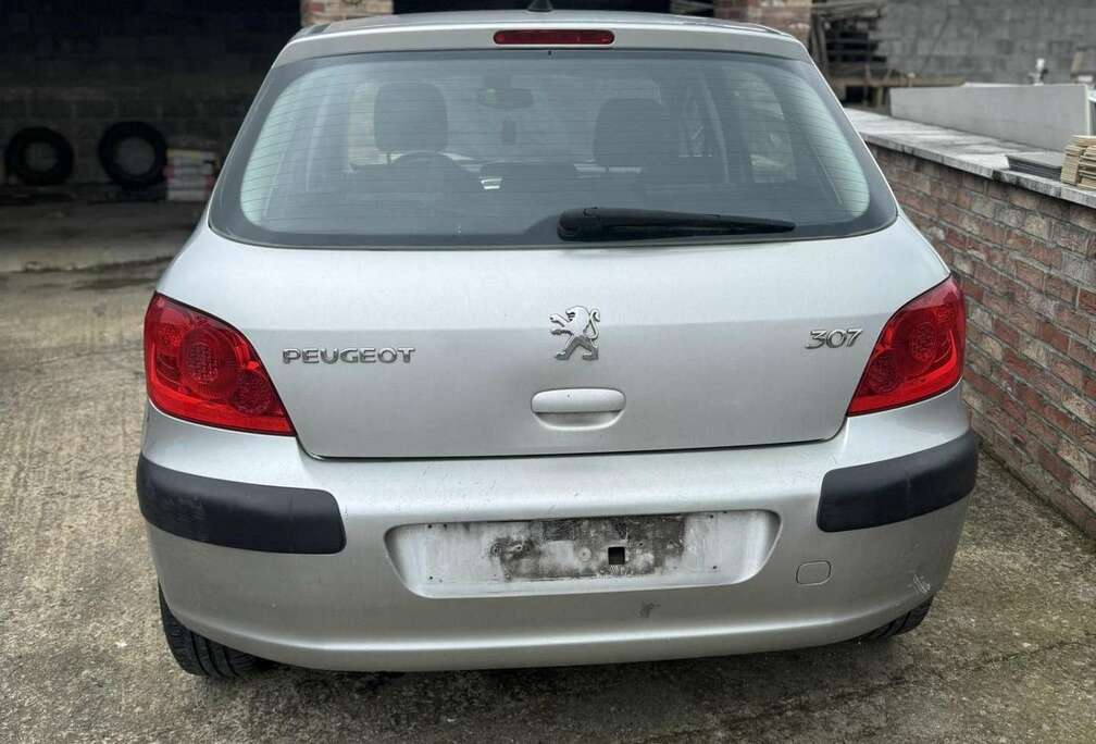 Peugeot 2.0i 16v Sport