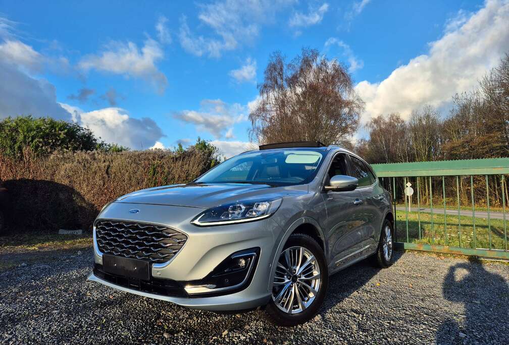 Ford Kuga 1.5 TDCi EB FWD Vignale (EU6d)