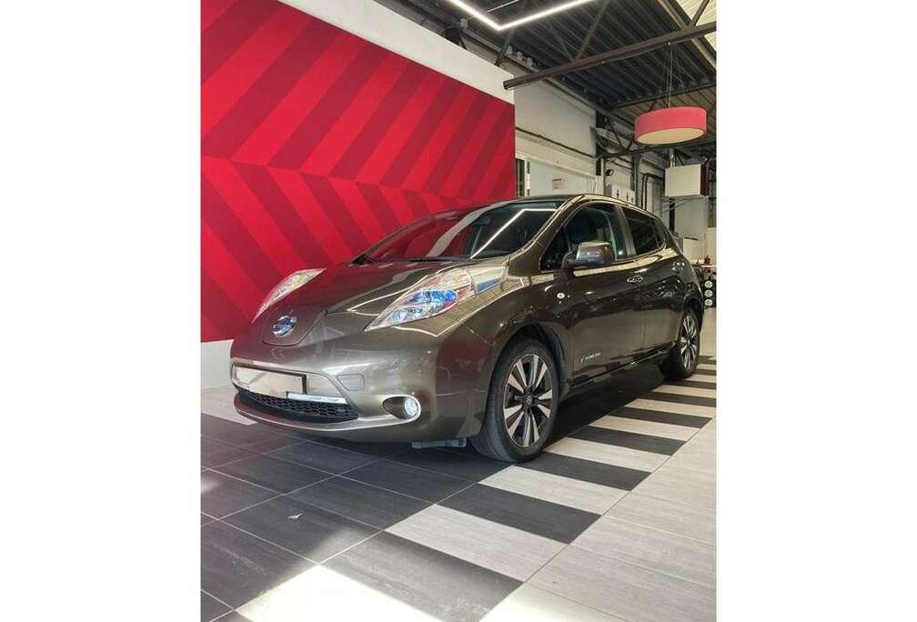 Nissan NISSAN LEAF 30KWH FULL OPTION  BATTERIJ