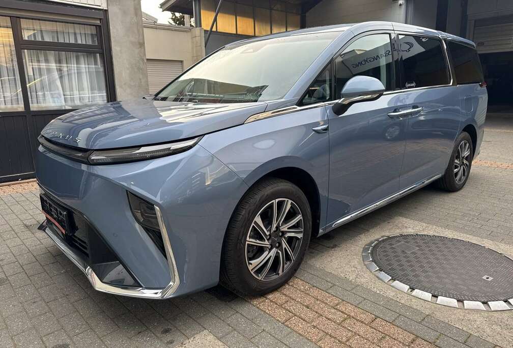 Luxury uitvoering met trekhaak 7 plaatsen