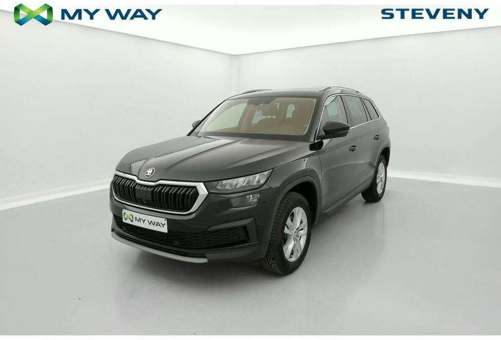 Skoda Clever 2,0 TDI 110 kW 7-speed automat.