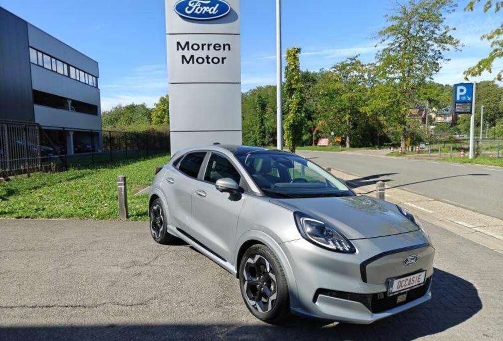 Ford Gen-E Premium Pano dak *02755