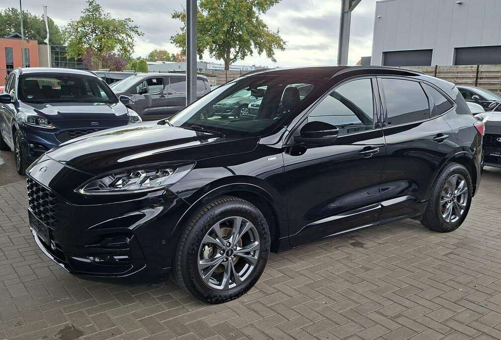 Ford ST - Line X 1.5 EcoBlue A8 Pano dak