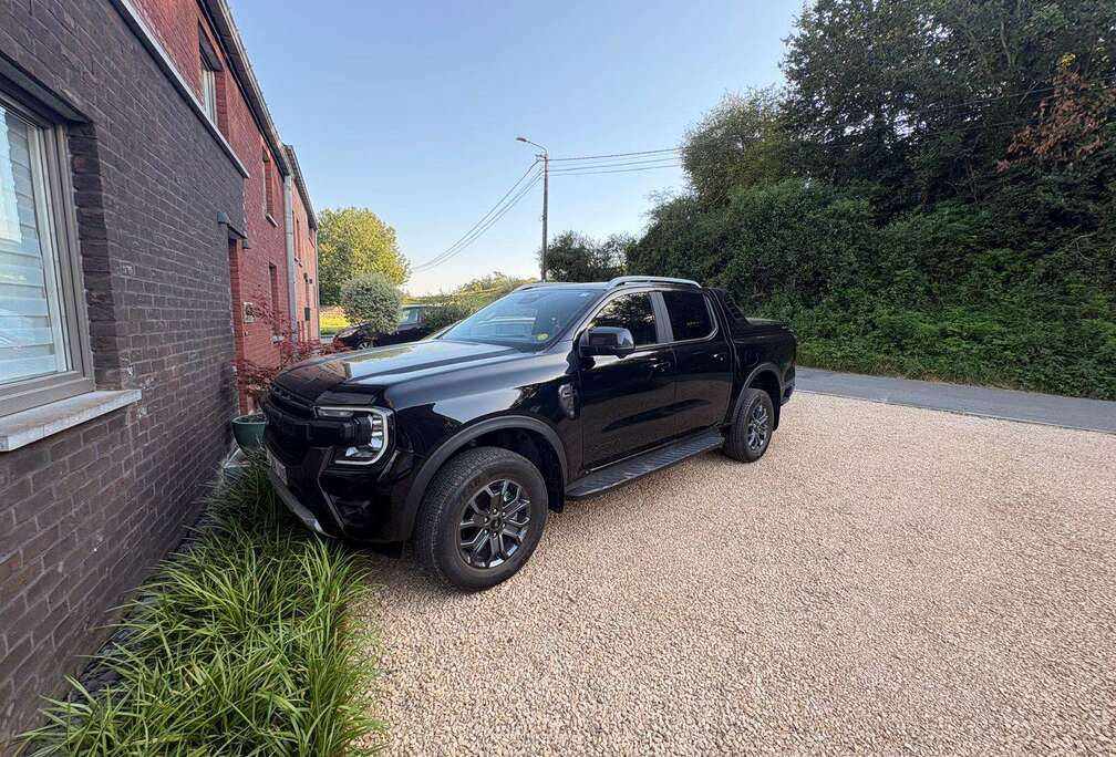 Ford 2.0 EcoBlue e-4WD Wildtrak