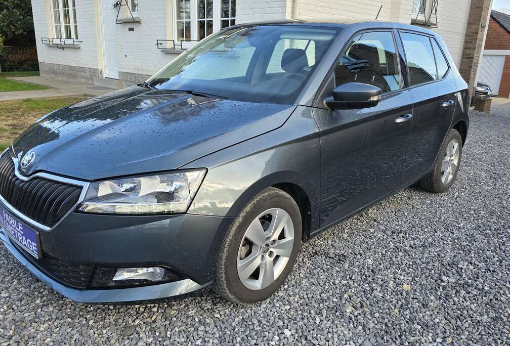 Skoda *1.0TSI/95CH/CLIM/CARPLAY/CAMERA/GARANTIE 12 MOIS*