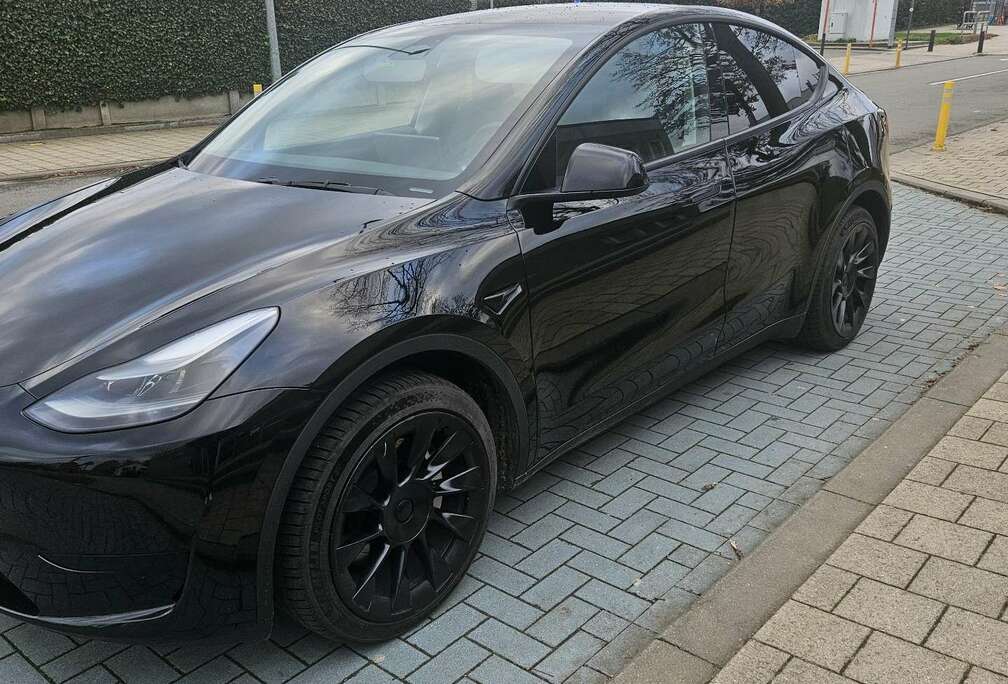 Tesla Long Range  RWD