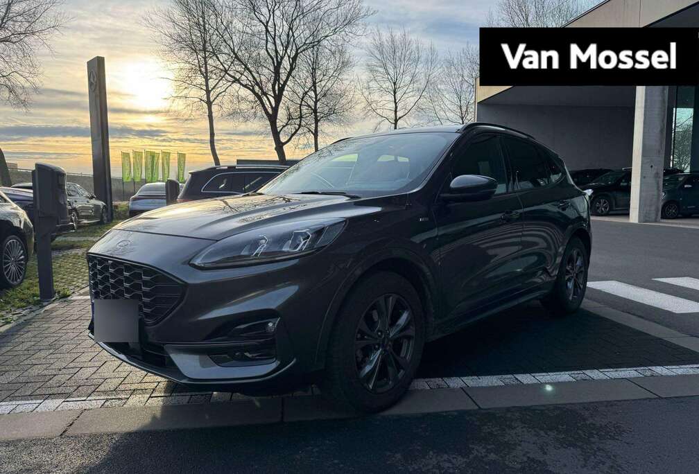 Ford ST Line X - Winterpack - Driver - B&O - Head Up