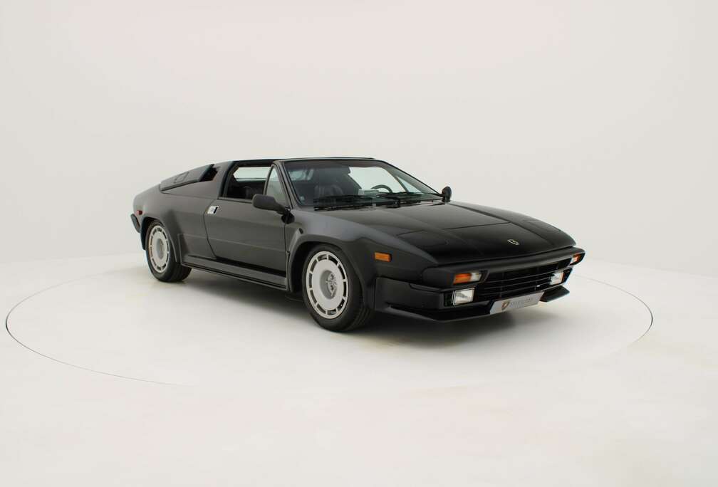 Lamborghini Jalpa 3.5 Targa