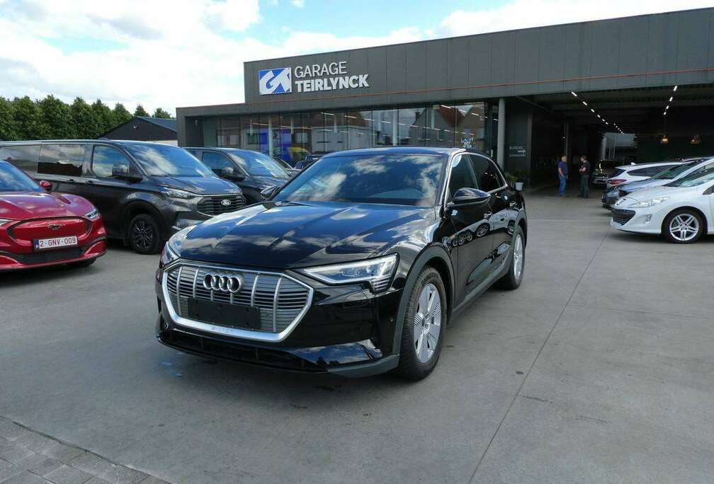 Audi 50 Quattro 313pk Business Luxe Camera \'22 39000km (42458)