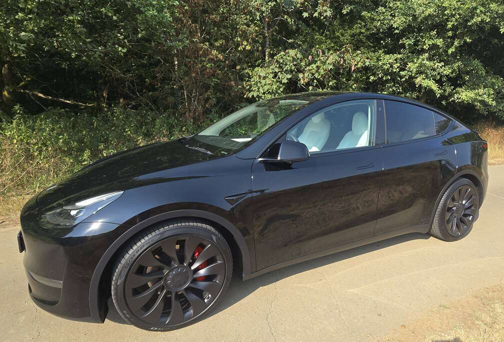 Tesla Model Y 72.5 kWh Dual Motor Performance (377 kW)