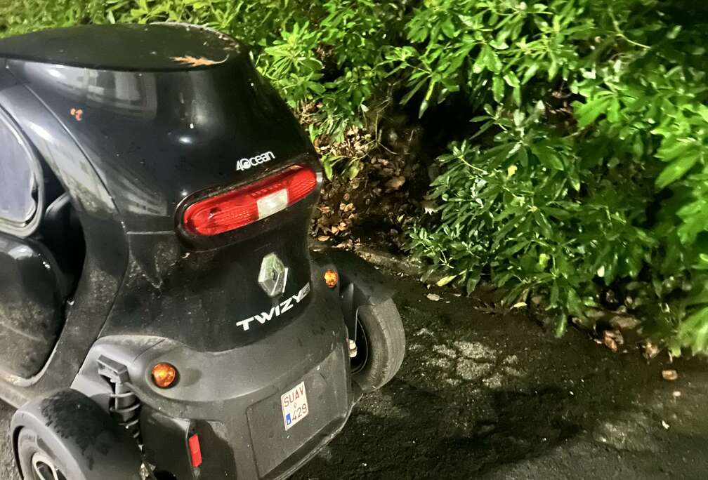 Renault (ohne Batterie) Intens