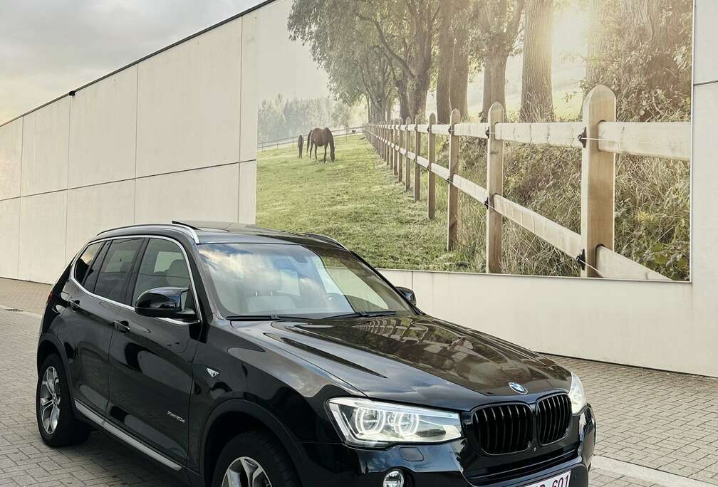 BMW xDrive20d xLine  CarPlay  H&K  360 Camera