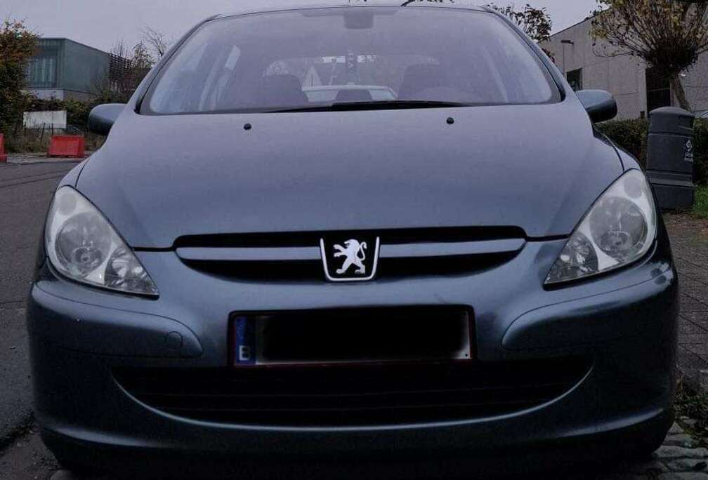 Peugeot 307+1.6i+16v+XS