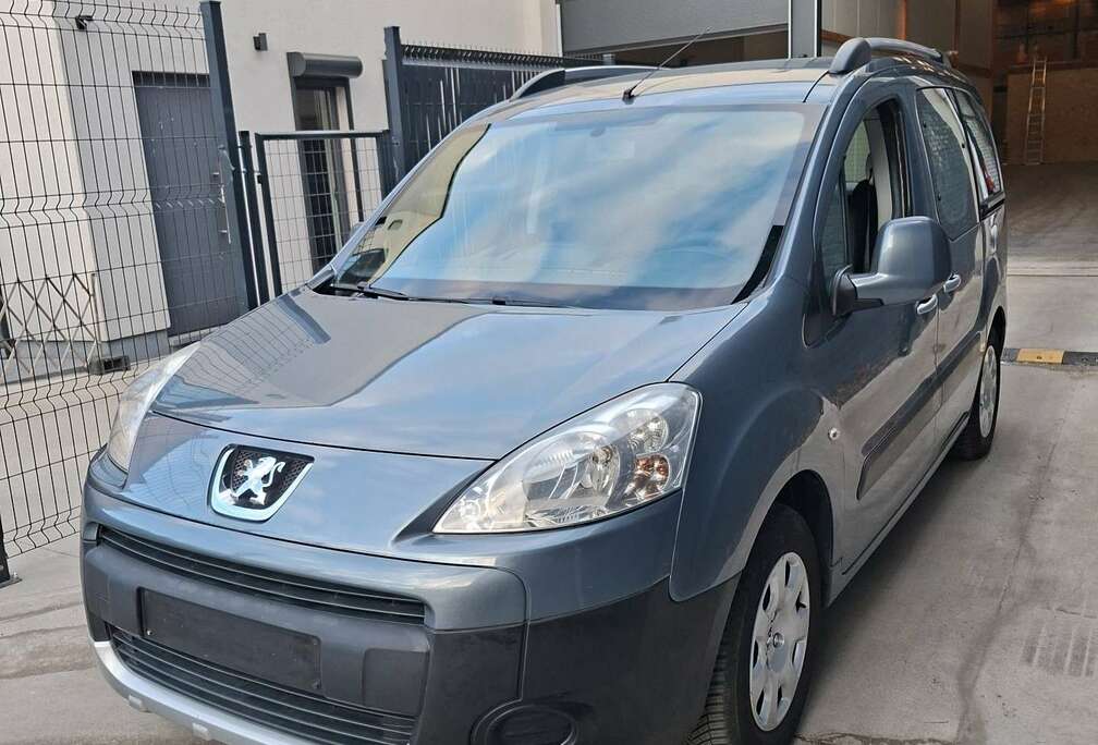 Peugeot Tepee 1.6i Confort