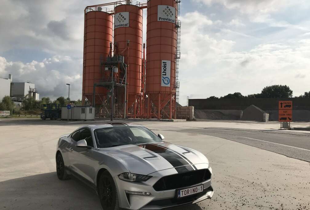 Ford S550 MY19 23i EcoBoost 290PK Fastback