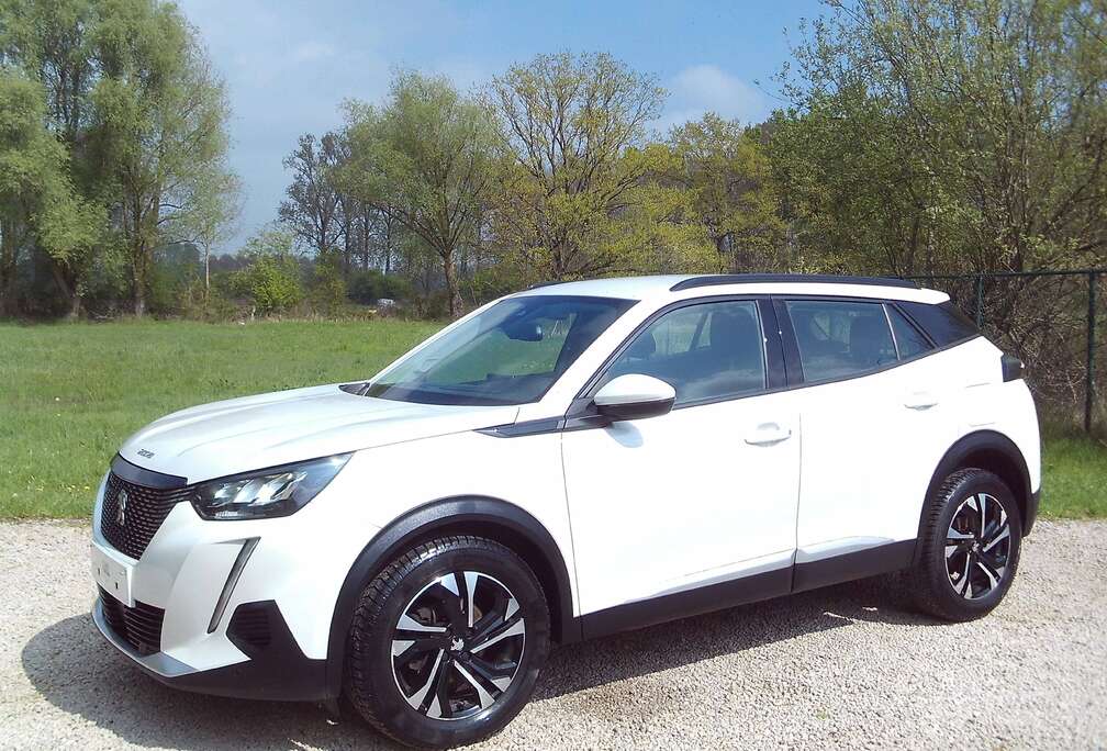 Peugeot Benzine 95dkm 17\