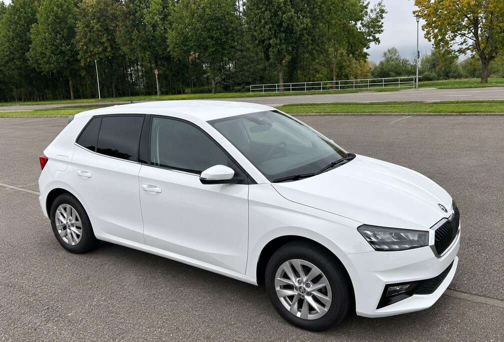 Skoda 1.0 TSI Selection