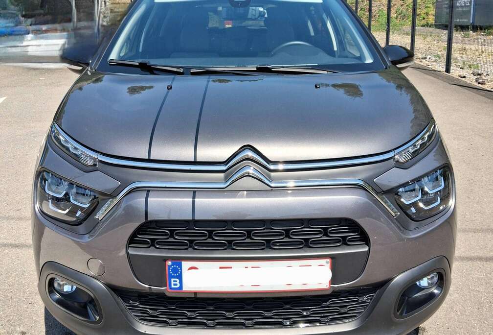 Citroen Max, shine