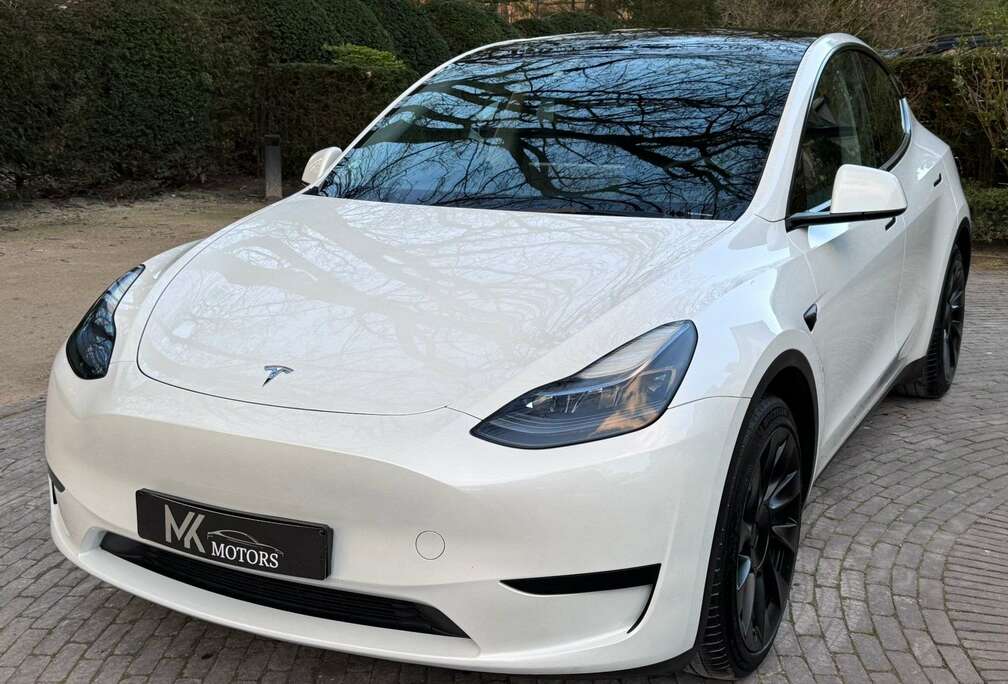 Tesla RWD/ 20 wheels/ Autopilot/ Trekhaak