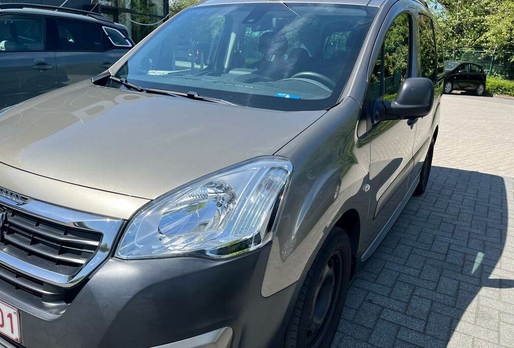 Peugeot 1.6 BlueHDi L2H1 Premium 121 S/S