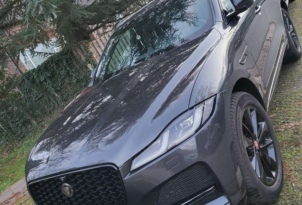 Jaguar 20d