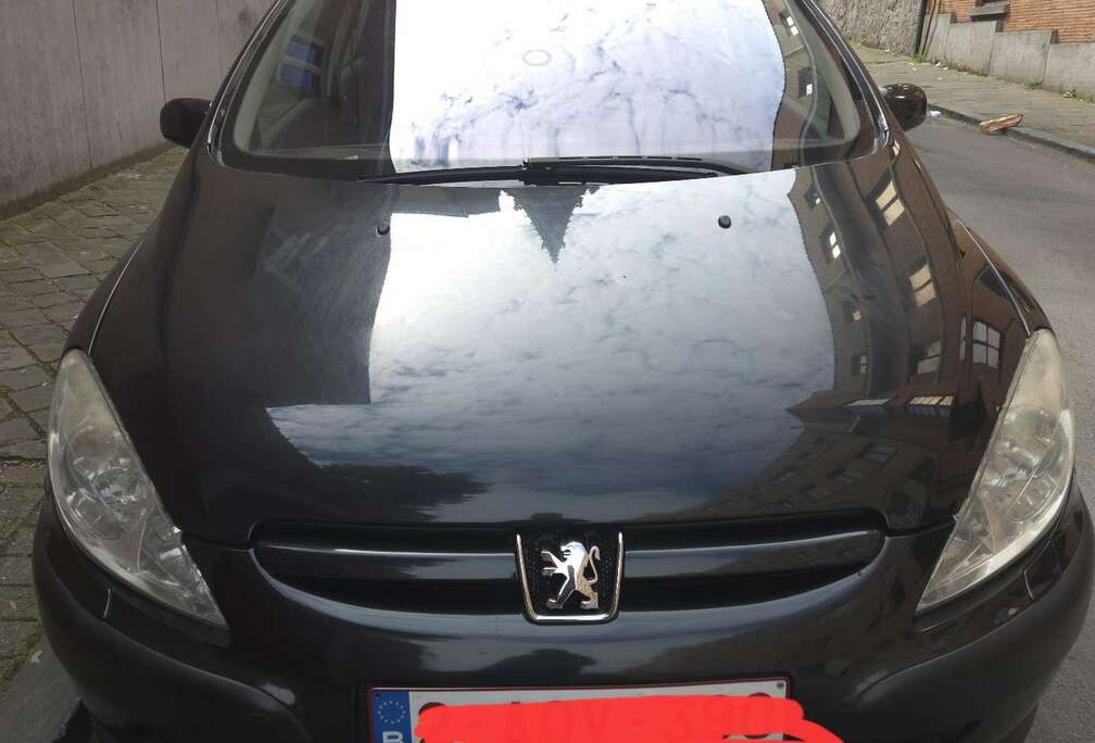 Peugeot 1.6i 16v