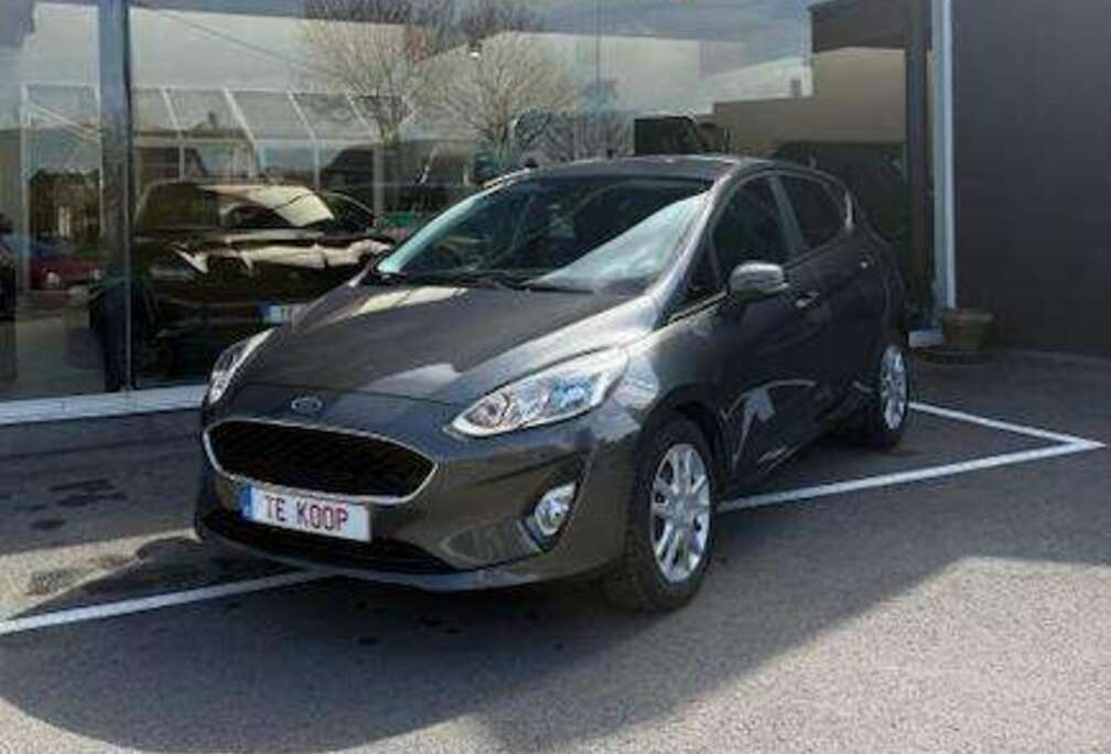 Ford Fiesta 1.0 EcoBoost Titanium (EU6.2)