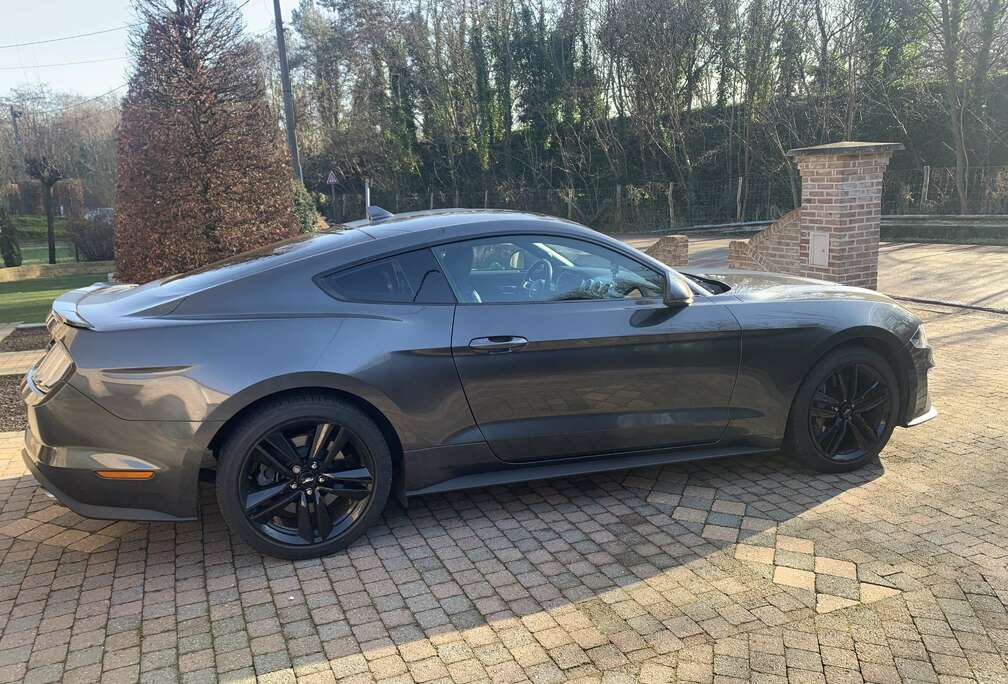 Ford Mustang Fastback 2.3 Eco Boost