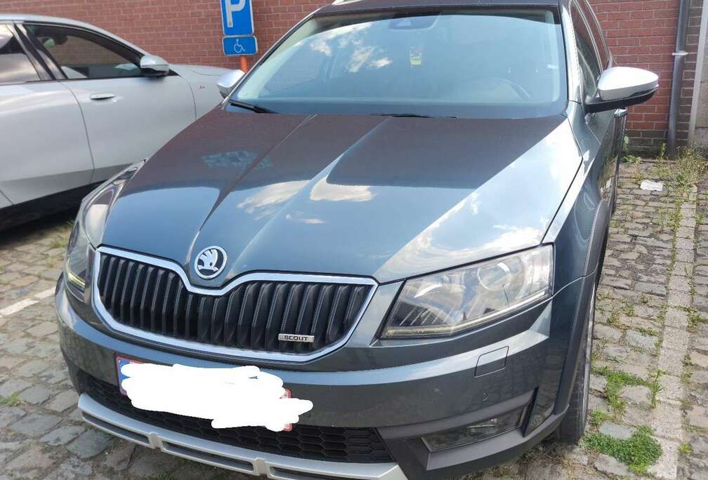 Skoda Combi 2.0 TDI (Green tec) 4x4 DSG Scout