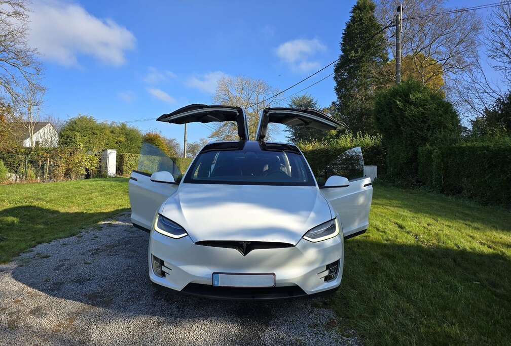 Tesla PERFORMANCE  Raven version(100 KWH )